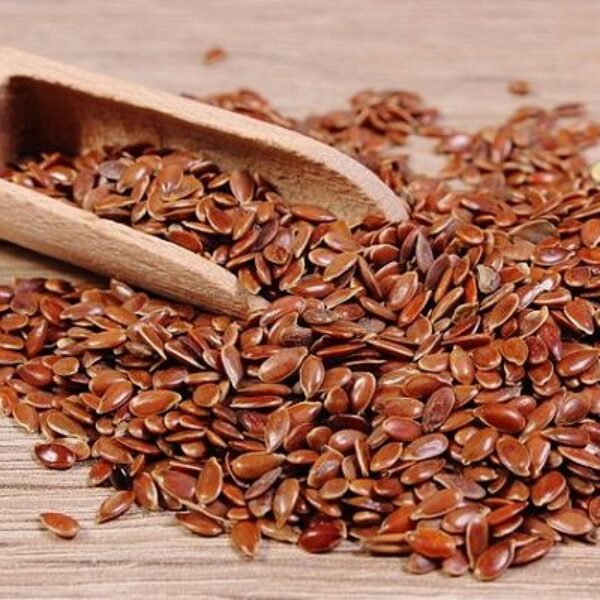 SEMENTE DE LINHAÇA MARROM