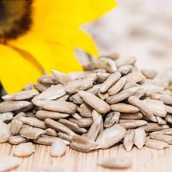 SEMENTE DE GIRASSOL S/ CASCA