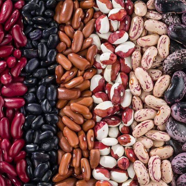 TEMPERO PARA FEIJÃO