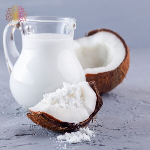 LEITE DE COCO EM PÓ 100G