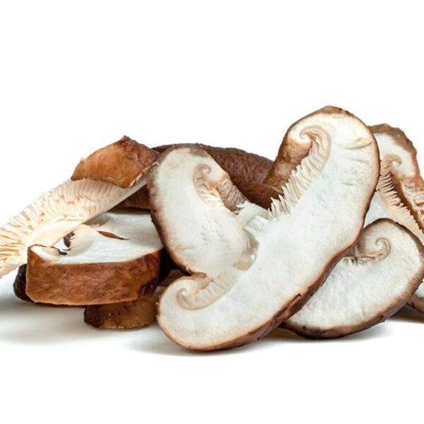 SHITAKE FATIADO/LAMINADO