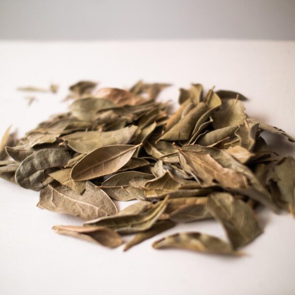 BOLDO DO CHILE DES. 20G